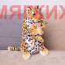 Мягкая игрушка Леопард с детенышем DW303007808BR